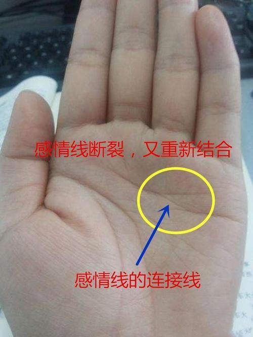 爱情线分叉会离婚吗_分叉的感情线_感情线分叉